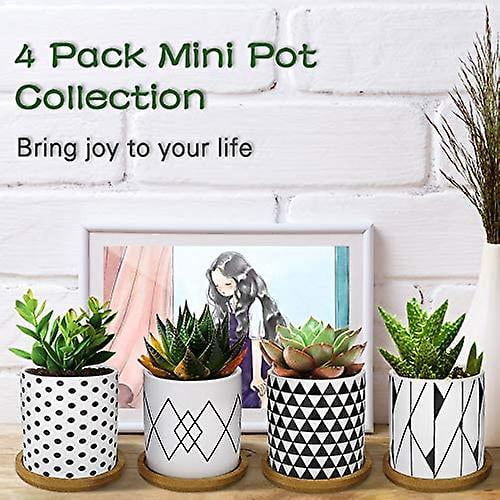 Tropical Paradise Collection